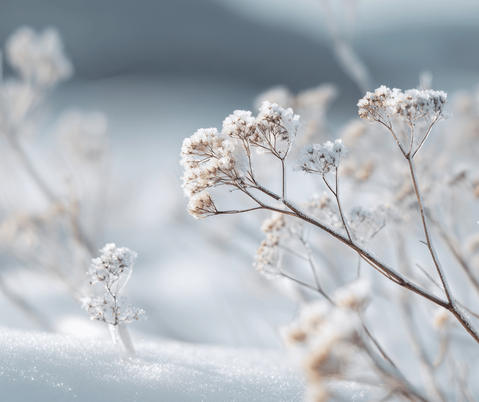 Should You Remove Your Dock And Boat Lift For Winter In Wisconsin?
